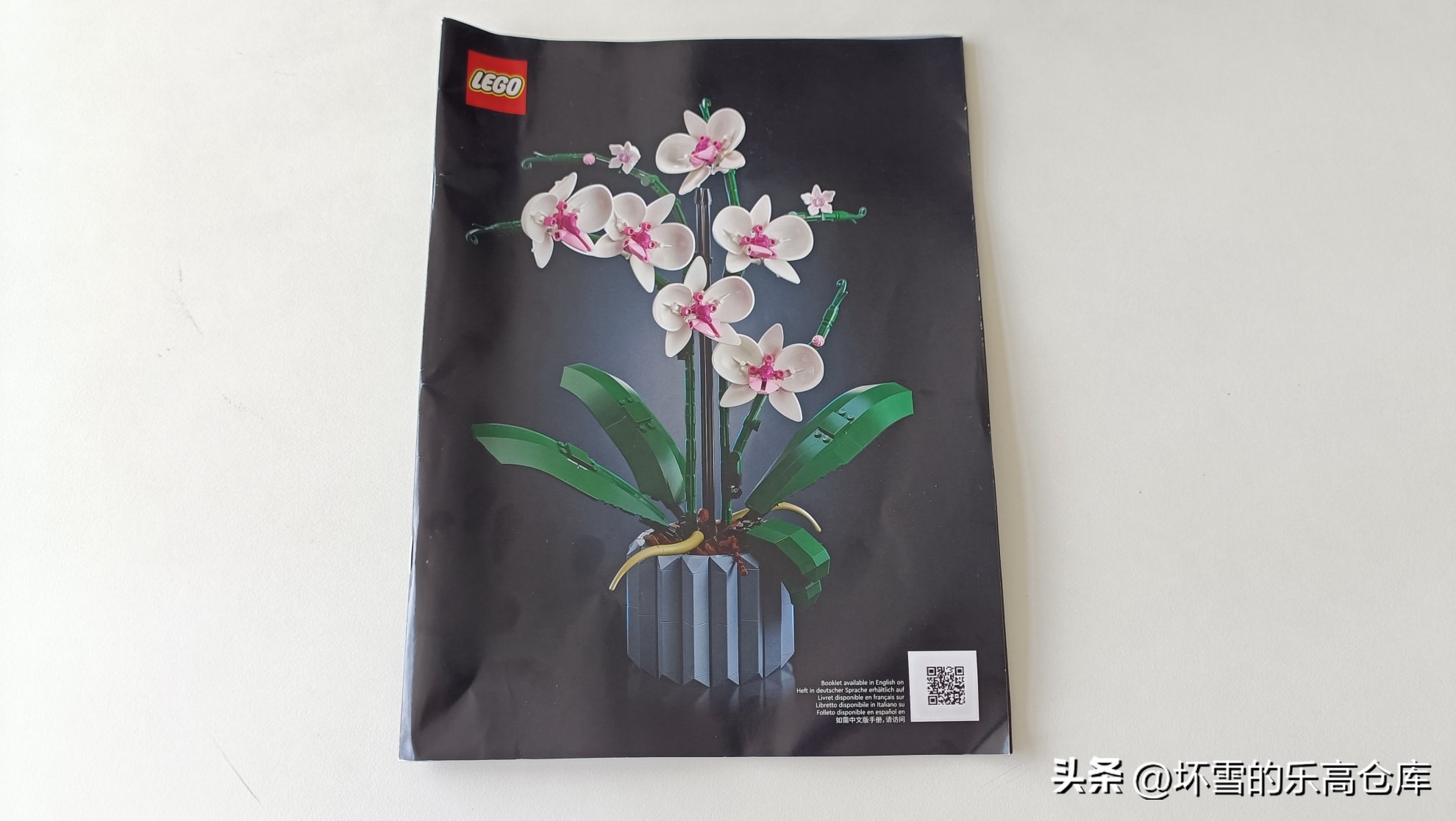 乐高兰花图片及价格,乐高兰花测评