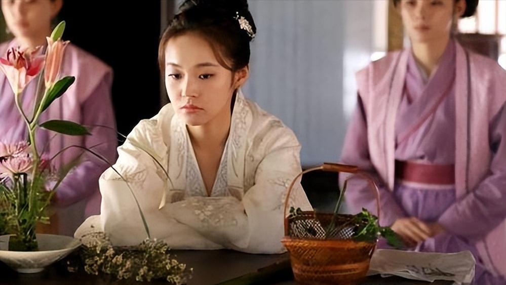 梦华录皇帝是不是看出赵盼儿身世,梦华录赵盼儿有几套礼服