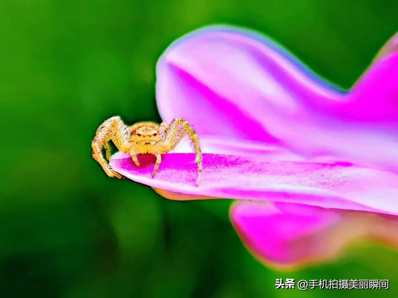 浠婃棩澶存潯鎺ㄨ崘鍓槧,浠婃棩澶存潯鎺ㄨ崘