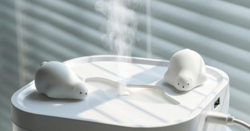 开加湿器除甲醛注意事项,加湿器能除甲醛吗