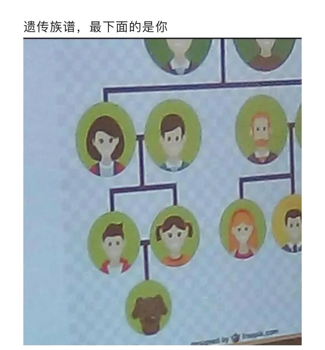 盘点那些搞笑的阴间设计,盘点20个反人类的阴间设计