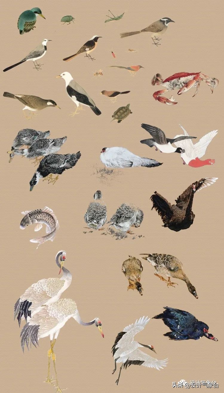 惜败扎哈事务所，但OMA的中国风方案留下一抹惊艳的色彩