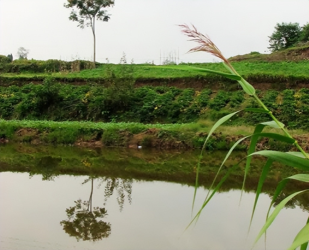 农妇洗衣服,农妇河边洗衣服引争议