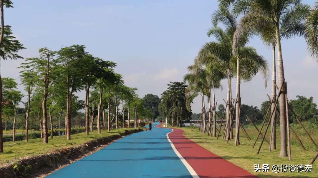 瑞丽德昂泼水狂欢节,云南旅游攻略德宏泼水节