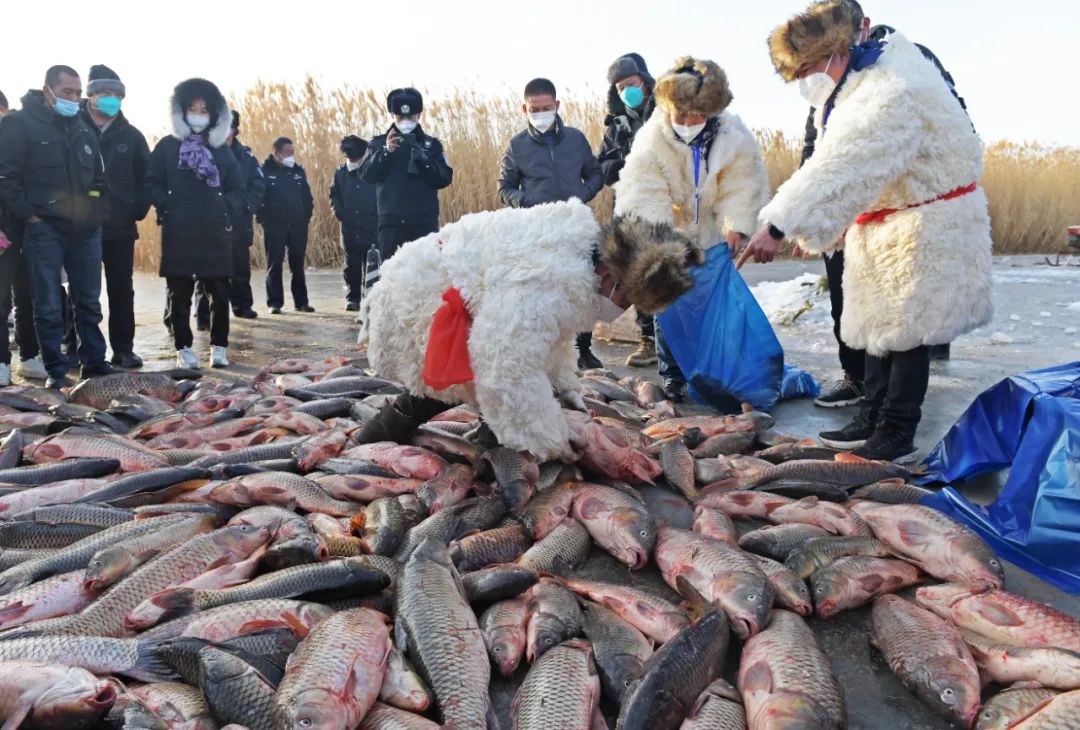 赛马场冰雪嘉年华,舞狮群狮表演比赛