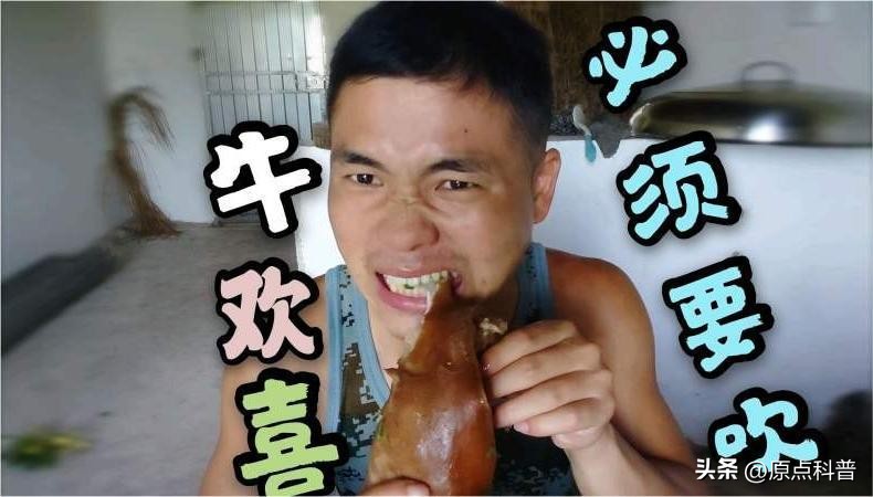 盘点广西十大奇葩美食狗肉,广西特色美食全是经典快来看看吧