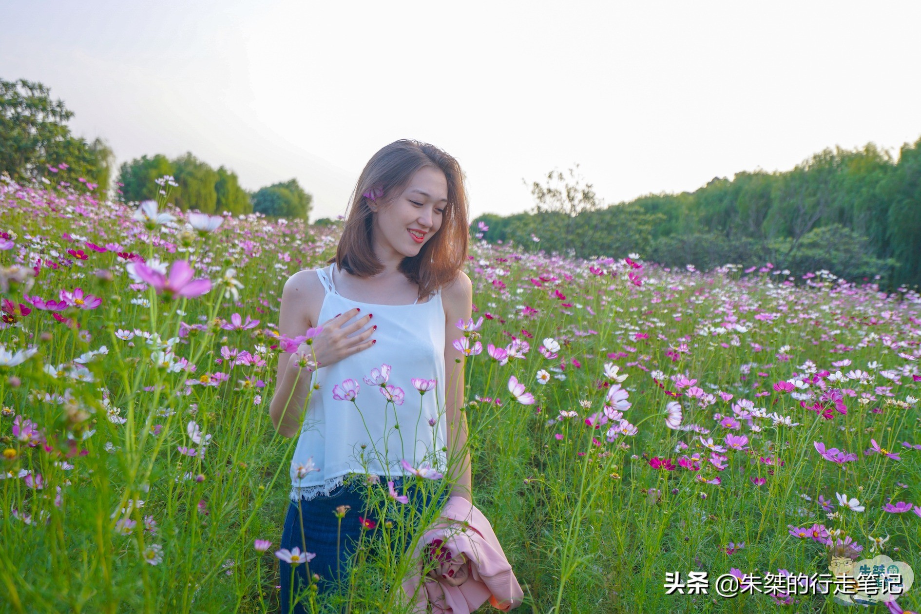 太湖中有一个小岛,太湖之中隐藏的岛