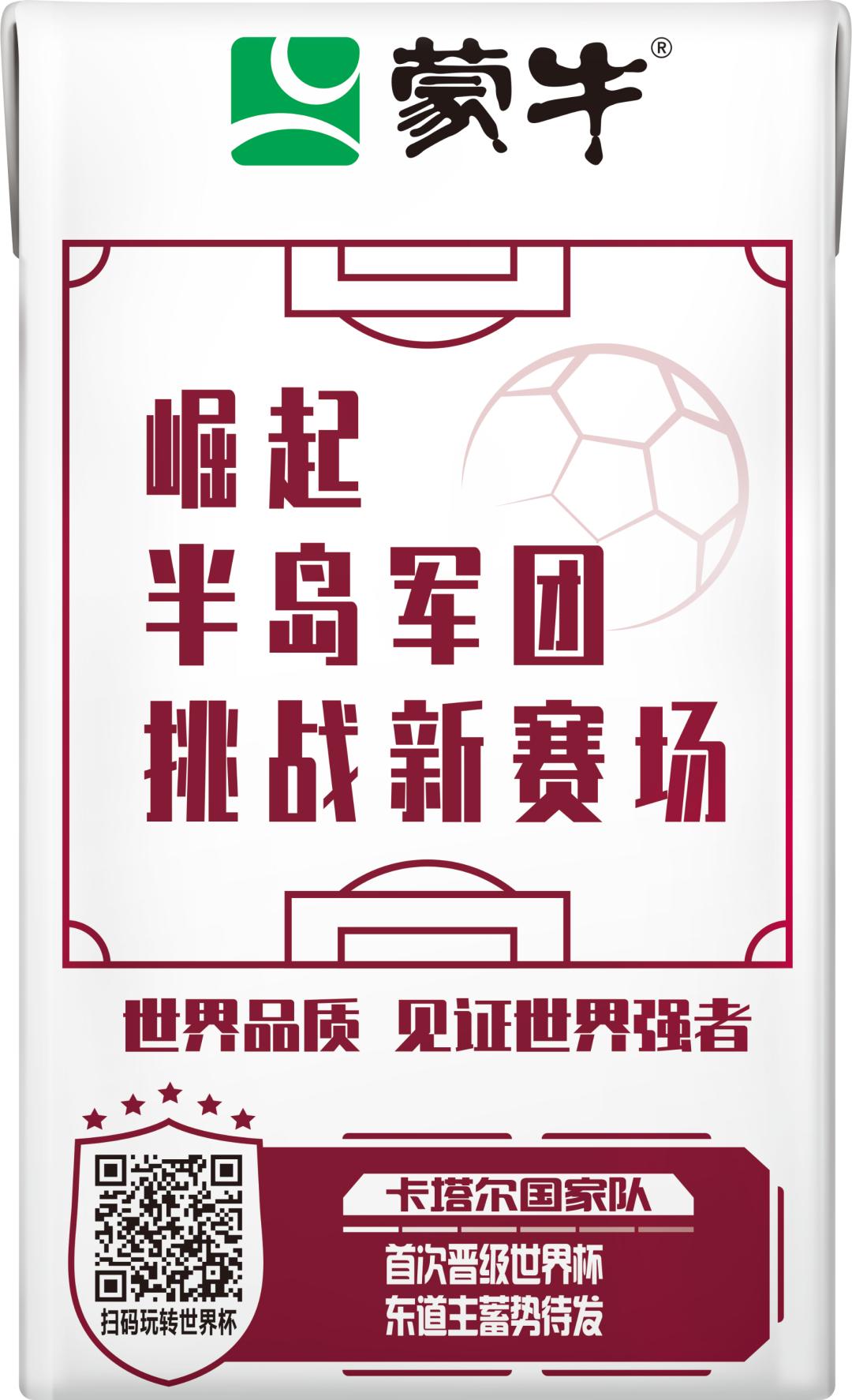 世界杯足球员故事,世界杯队长纪录片第四集