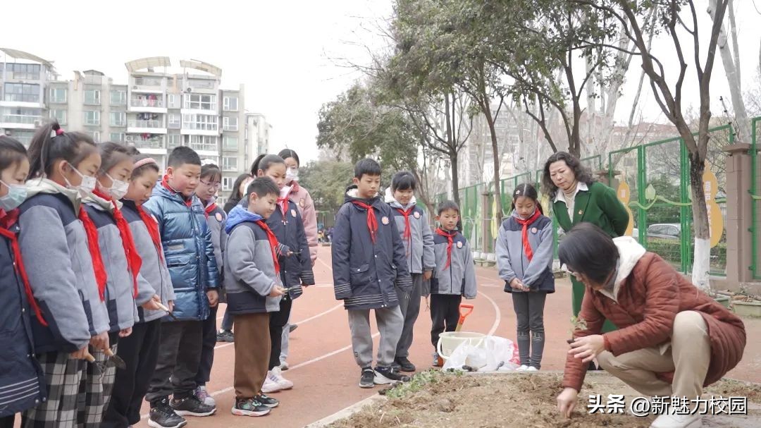 劳动创造幸福创意活动小学,劳动创造美好生活小学活动