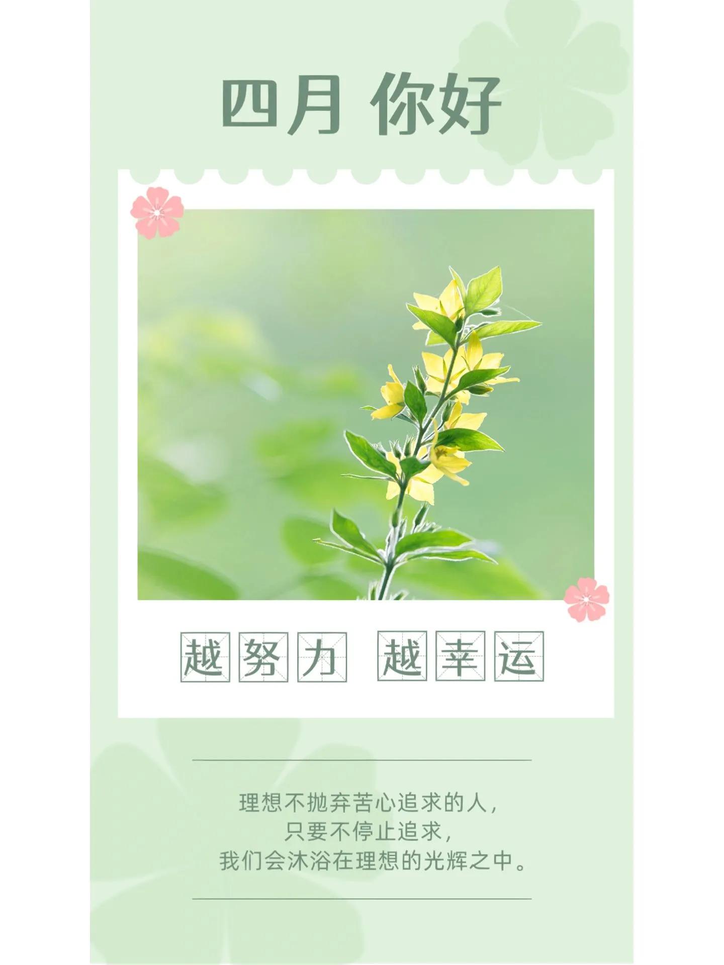 适合4月初始发朋友圈|群发的图文