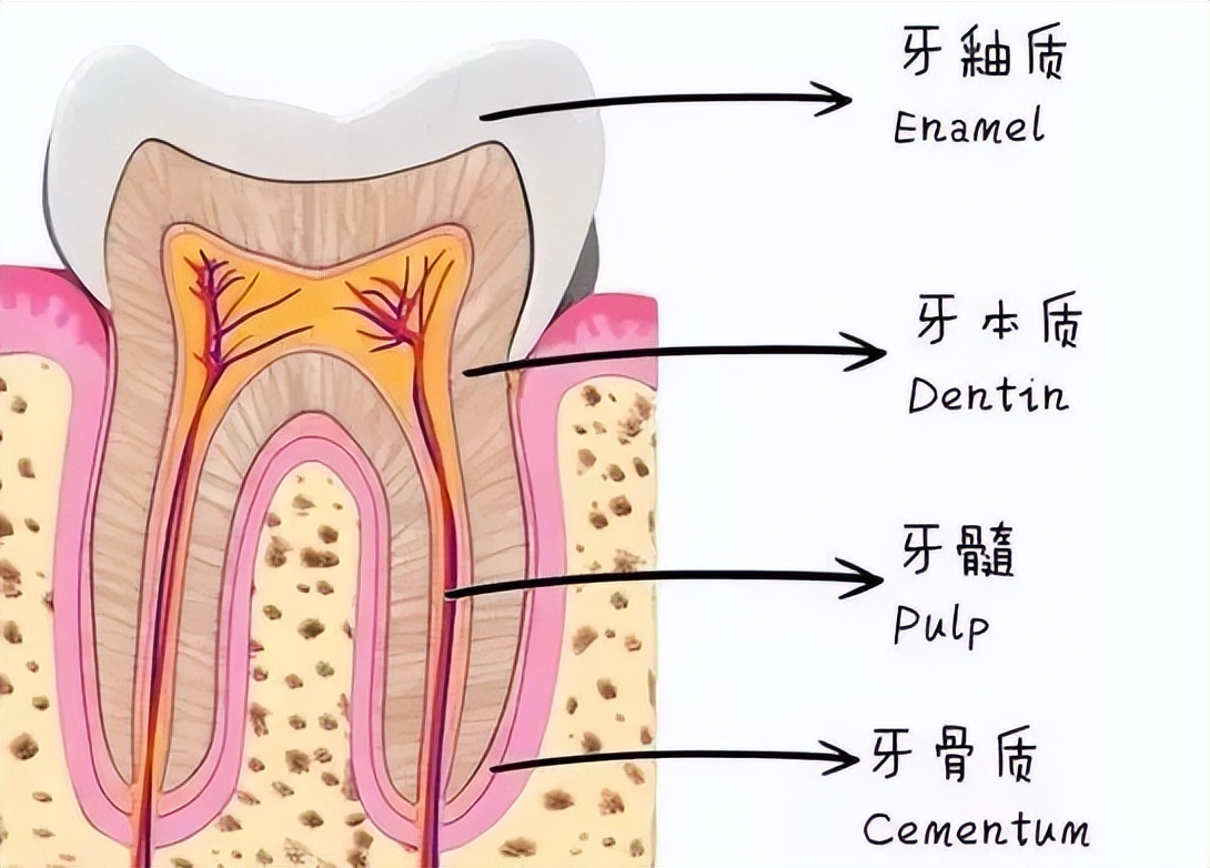 冷热酸甜一吃牙就痛怎么治疗,一吃冰的有一颗牙齿就痛什么原因