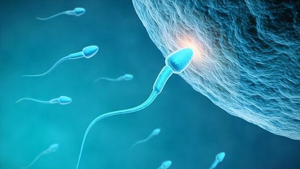 关于性知识男女必要知道的四件事,男人性健康4大误区