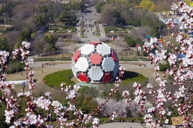 劳动公园的大足球在哪,劳动公园的大足球是干什么的