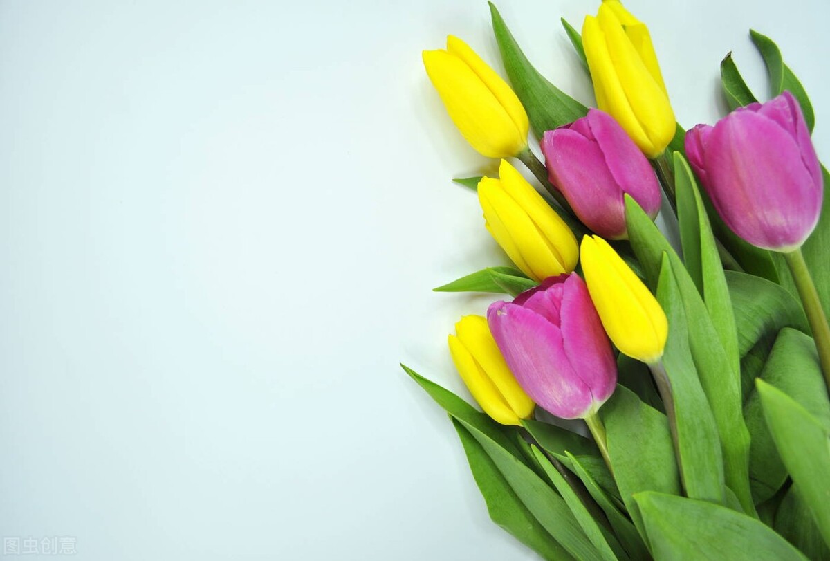 女保安用摄像头跟踪帅哥，领导发现后将她开除，后来她怎么了