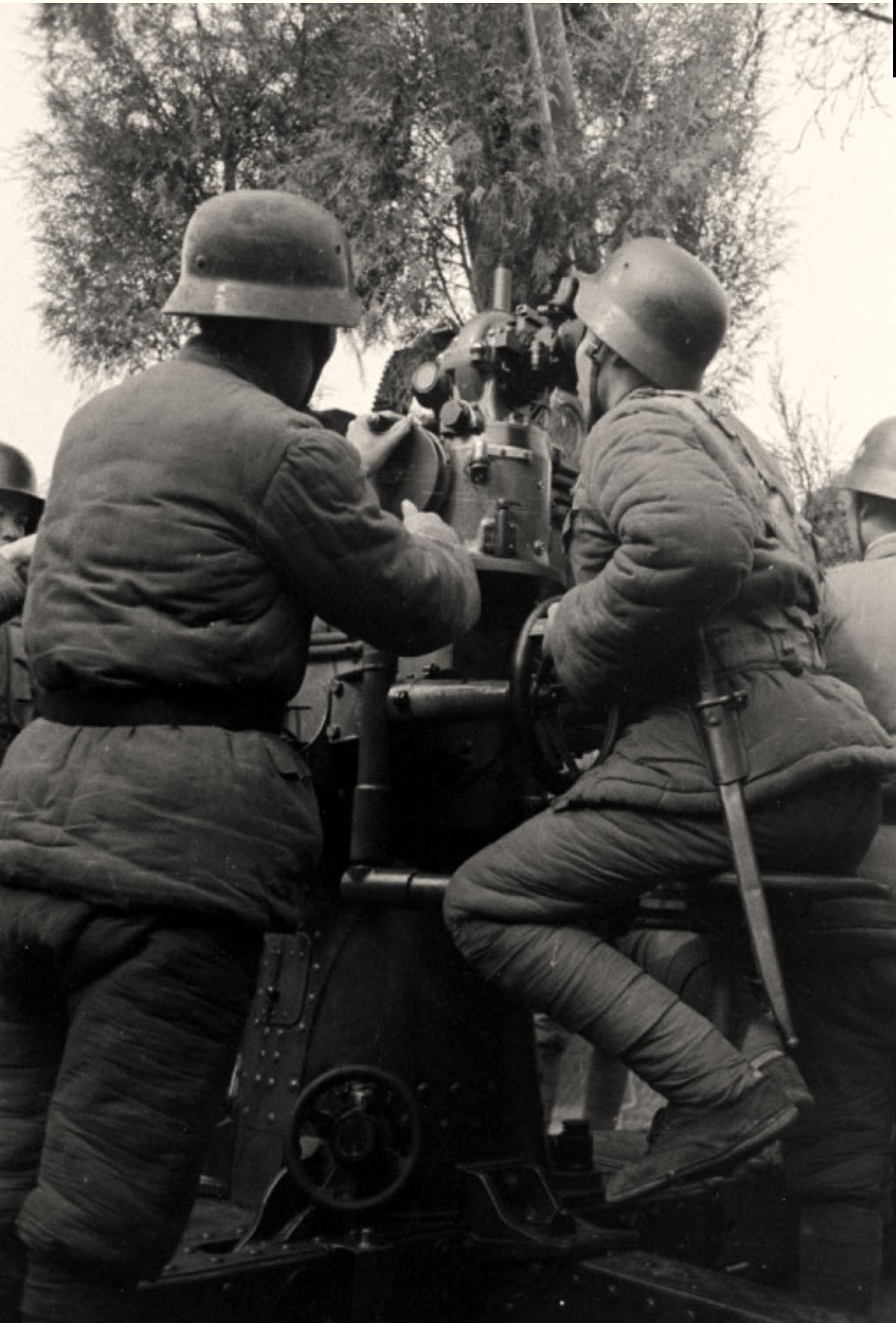 【晚清风情录】老照片中的花楼女子丰乳肥臀，30张尽显魅力