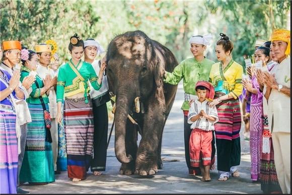 网报云南导游威胁女游客人身安全,鼓浪屿女导游有导游证威胁乘客