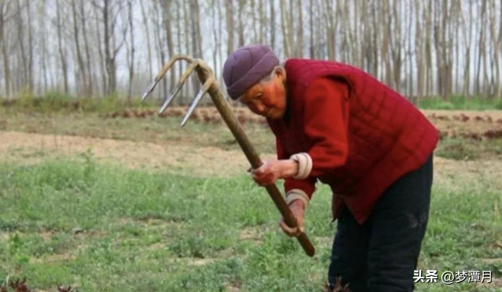 农村农民老人生活补助,农村老人的补贴有官方文件吗