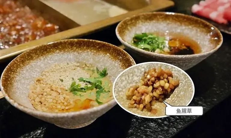 海底捞巴奴,海底捞巴奴教学视频