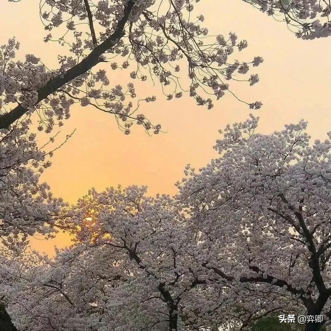 网名id小众风,超好听网名仙气四字微信名