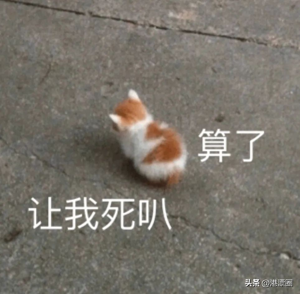 一天丢1.8万亿！今天全港人都被他坑了