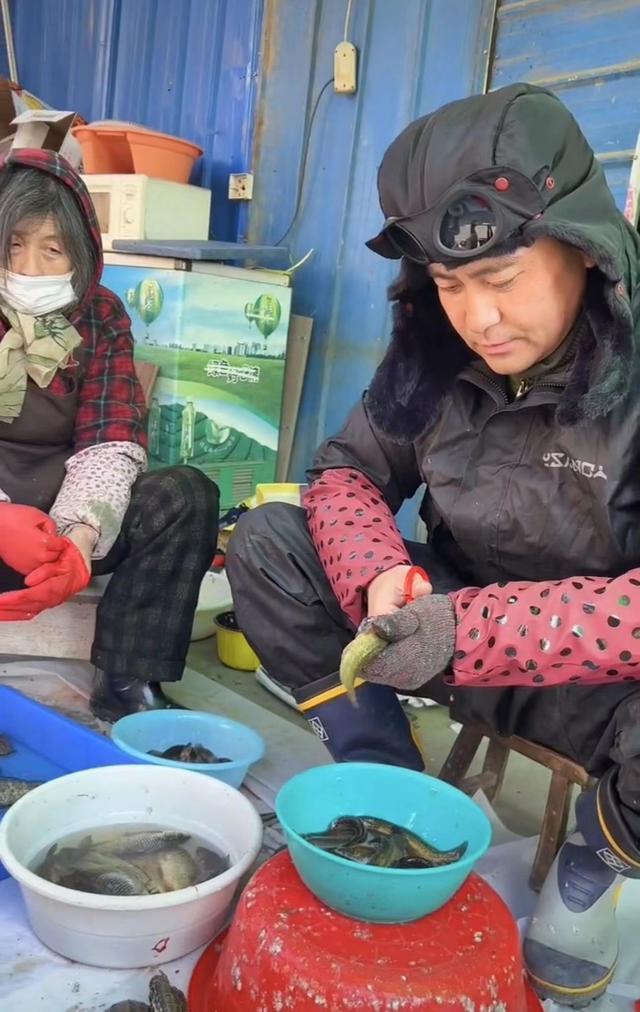 演员李飞帮妈妈卖鱼引发的思考,演员李飞帮妈妈摆摊卖鱼