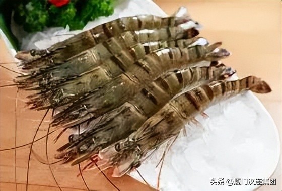 进口水产品中文标签无批次号 (解读进口水产外箱标签)