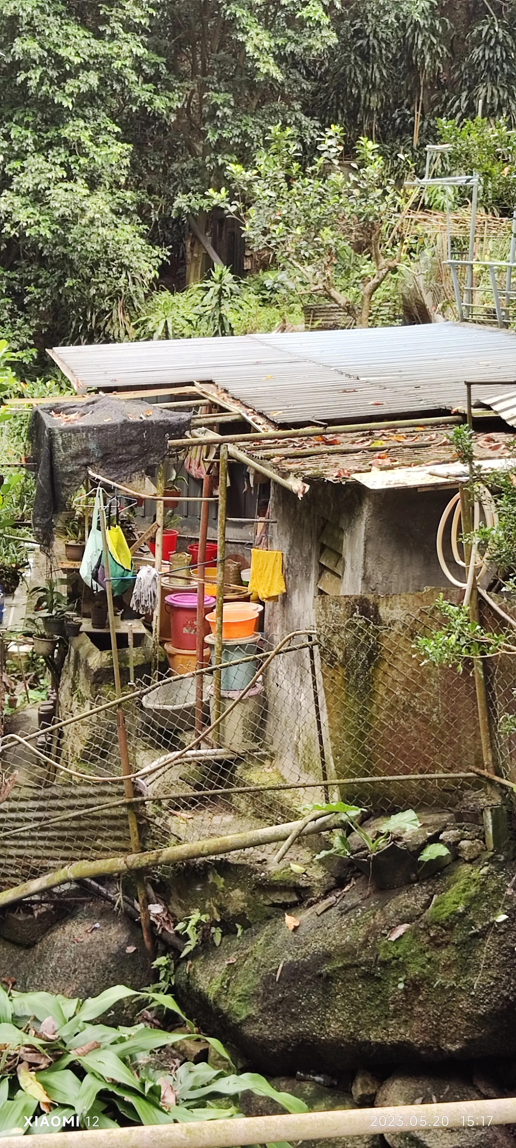 香港大围自由行，重点关注了药品、肉菜以及免税店里香烟的行情