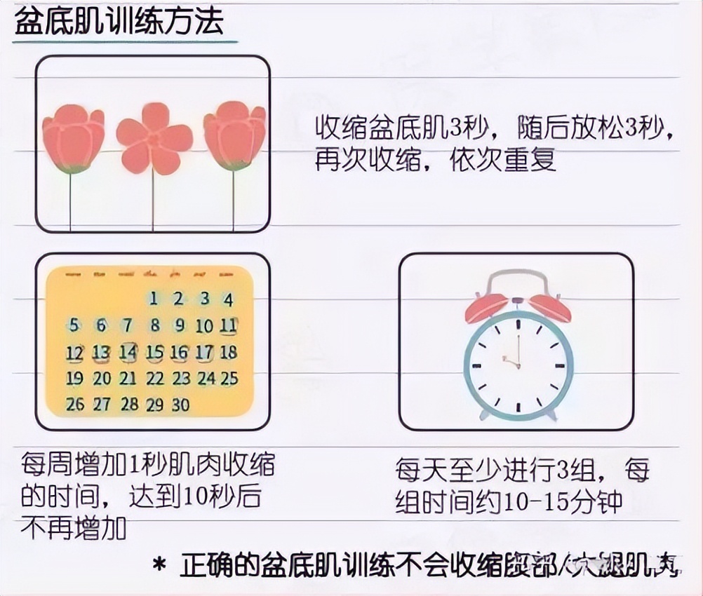 男性锻炼盆底肌的功效与作用,男性盆底肌群锻炼器材
