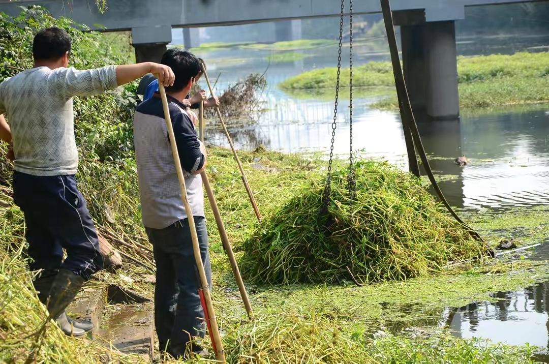 花园要打理得好先除杂草,春天草坪长杂草这样做除草更简单