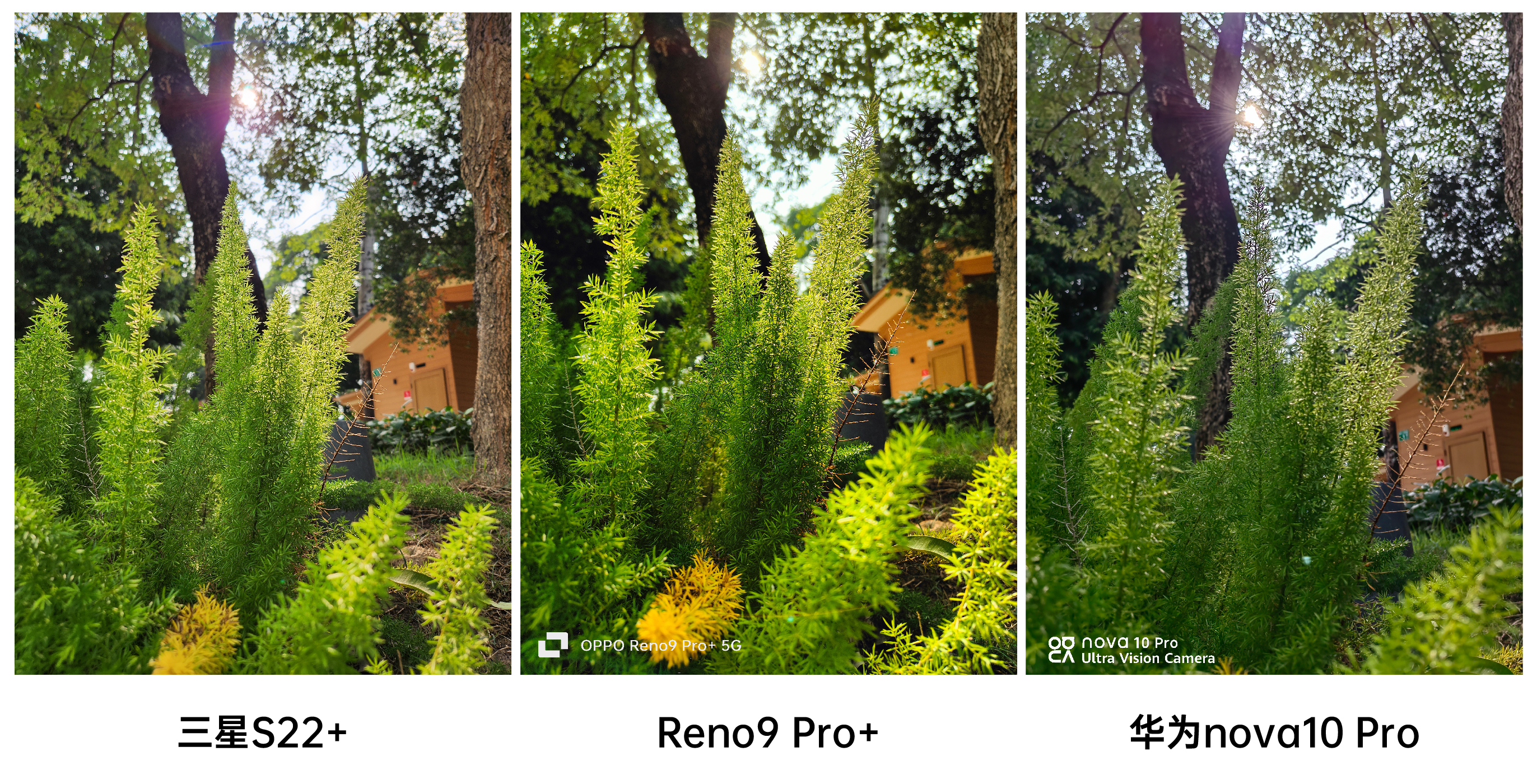 reno9pro+拍照对比,华为reno9pro测评