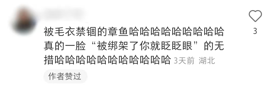 Jellycat的60+产品，带你来看看起名鬼才