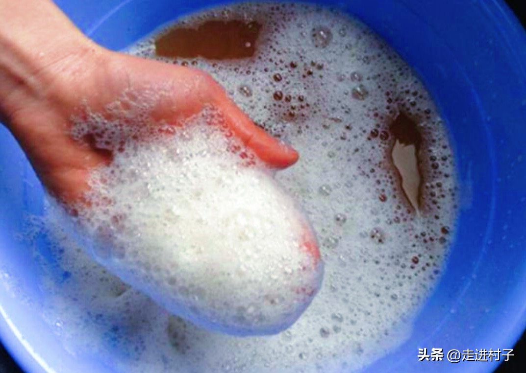 白萝卜最简单的病虫害防治方法,小圆白萝卜种植方法全过程