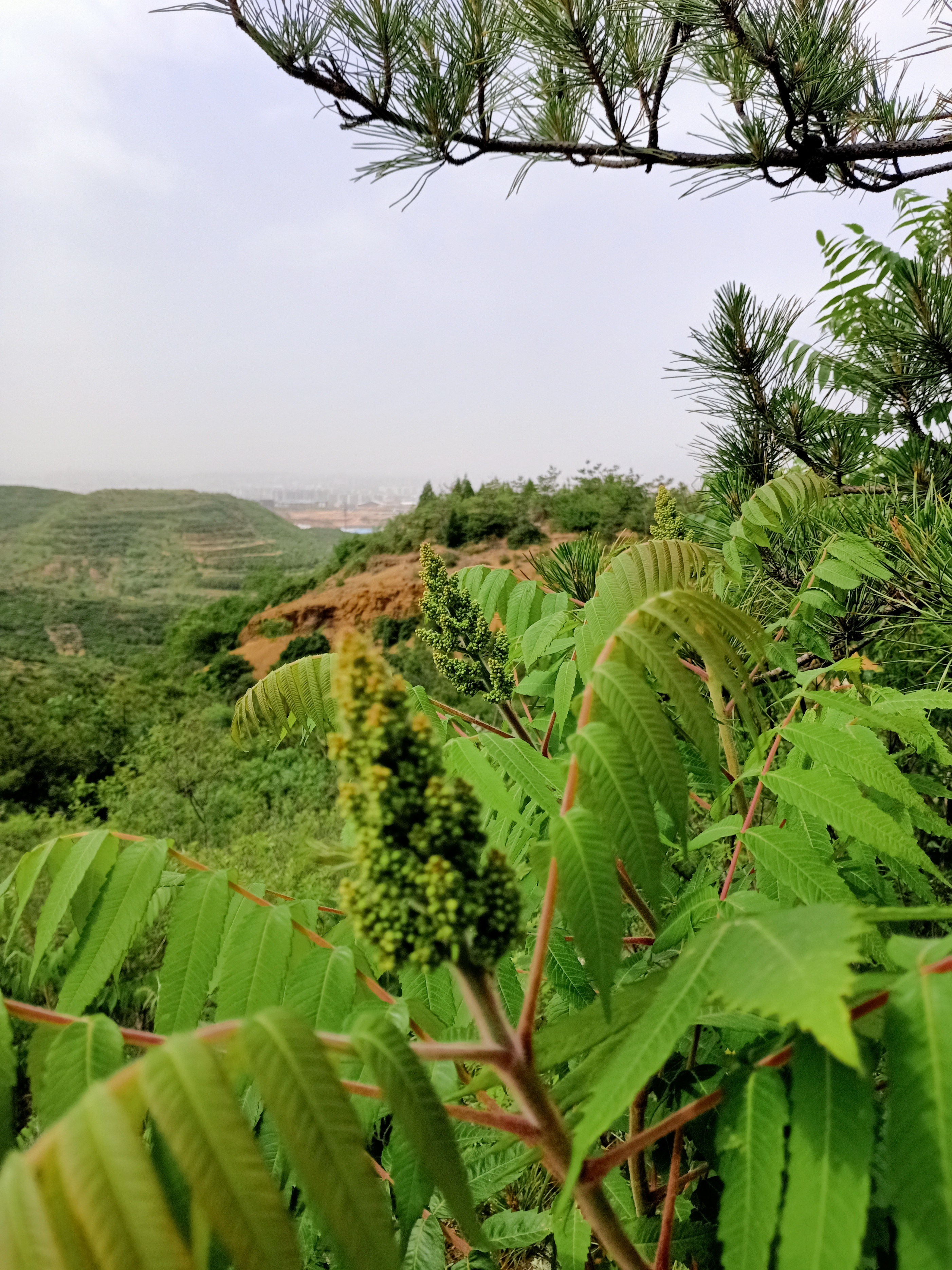 系统，规则不复杂，复杂的是人心，执行规则时想得太多