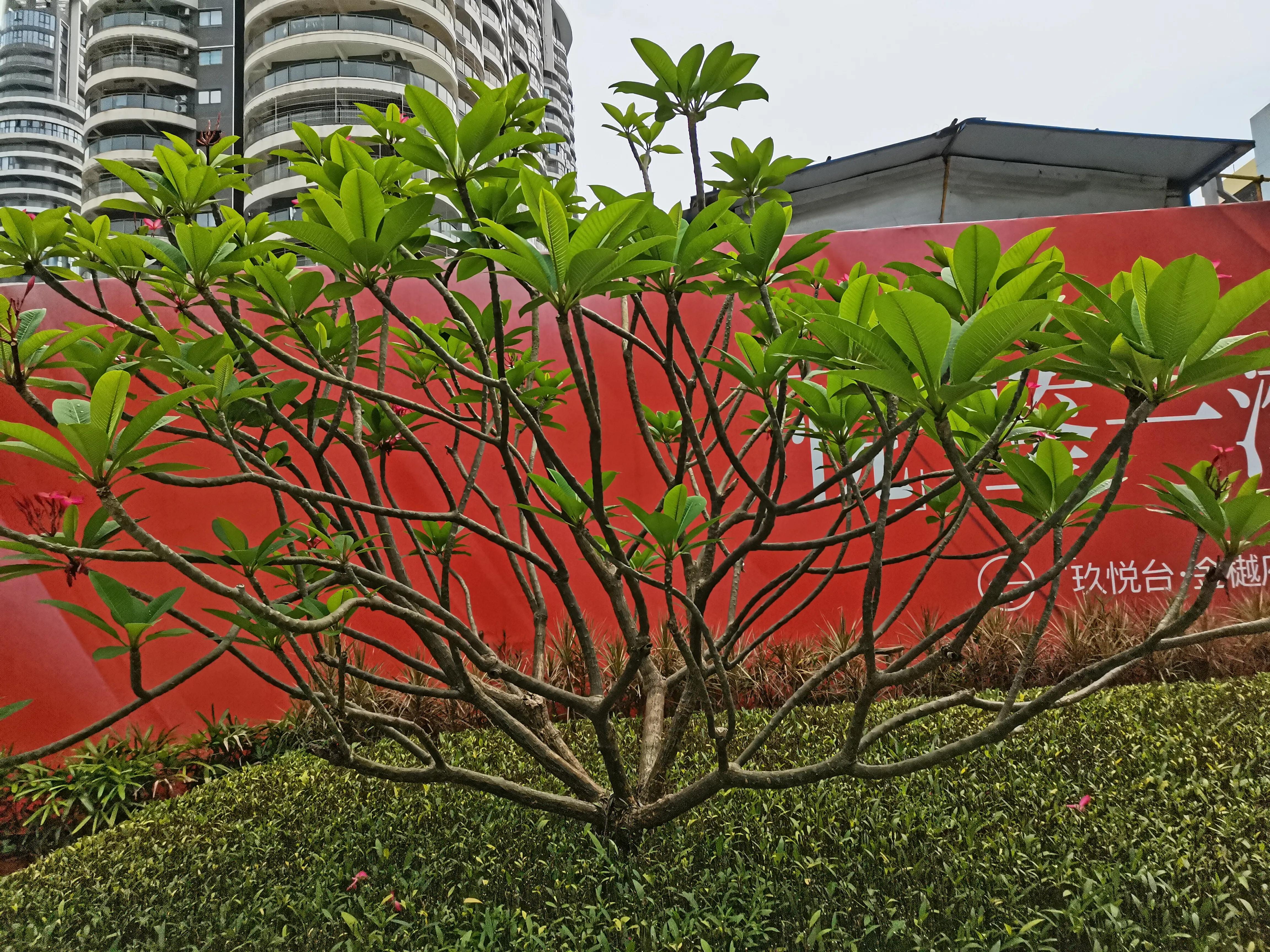 母校承载了多少学子的无限回忆,怀念母校16年后的感言