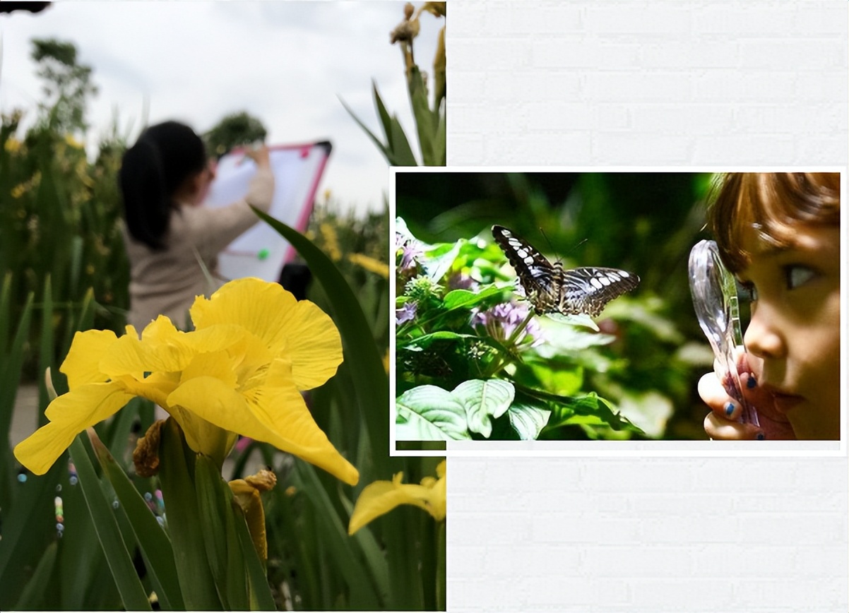 在休闲度假区有什么项目可操作,快来看看哪些项目更受欢迎