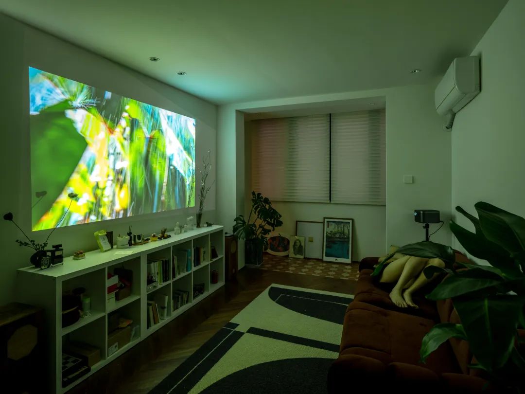 上海女生家装,上海女性100万装修风格