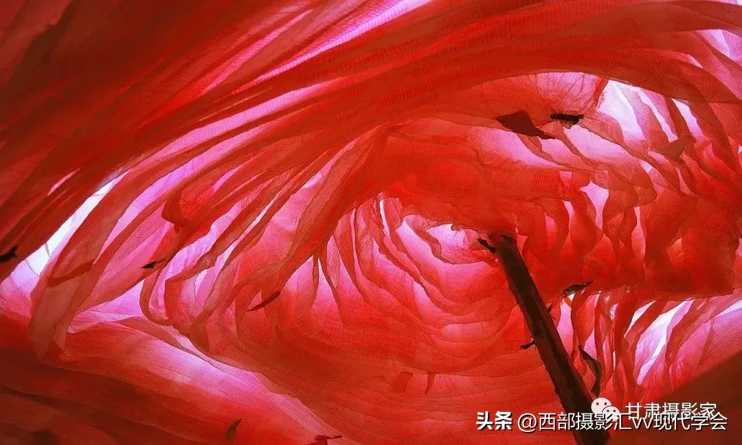 西部影像|一个女摄影家的西部视野王玫