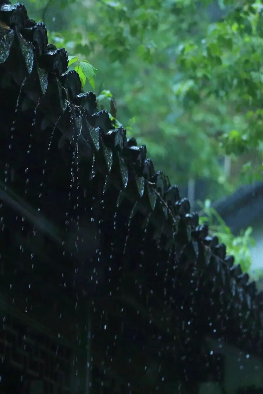 雨水哲理,雨水的好句