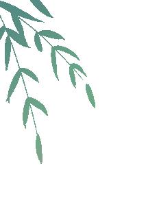 交通安全农村道路行车安全提示,春节农村交通安全提示和注意事项