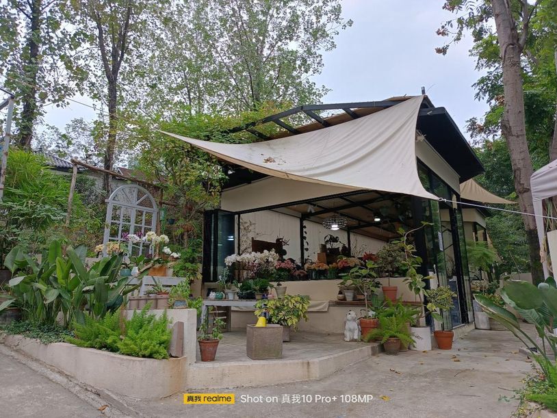 真我10pro手机曲面屏,真我10pro曲面屏评测