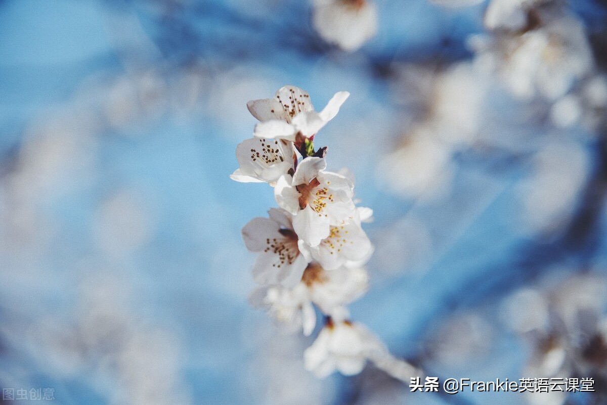 初中英语短语汇总及解析,初中英语常用短语归纳大全