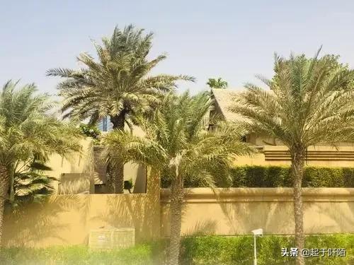 “迪拜”现状，带你看看真实的迪拜