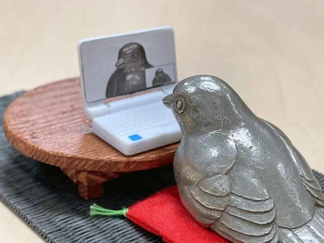 害怕小鸟受凉，有人悄悄为它们织了22年的毛衣