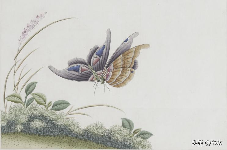 杜甫的七言绝句的背后故事,杜甫七言绝句的艺术成就