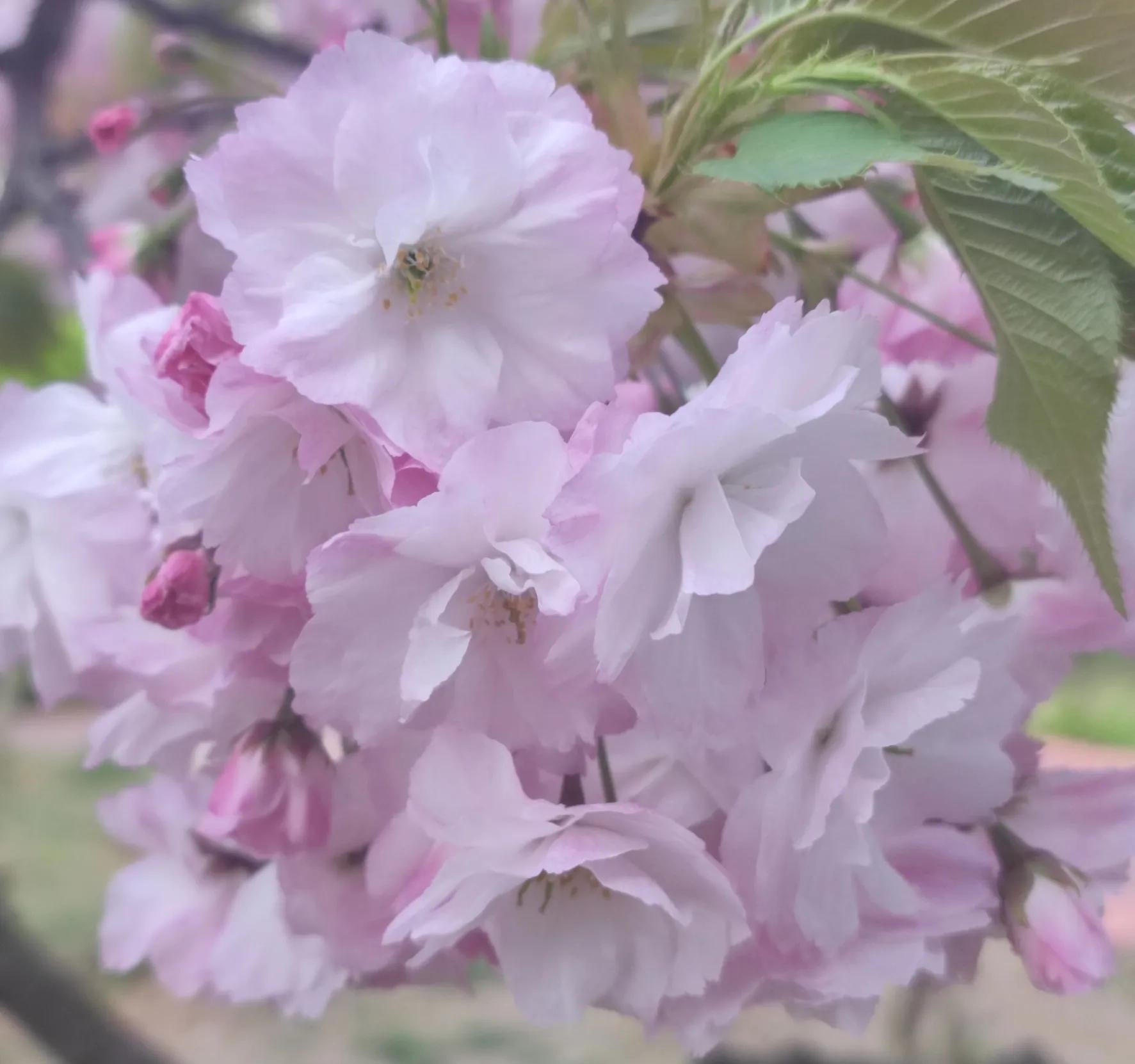 一节特别的什么课600字优秀作文,优秀作文有意义的一天300字