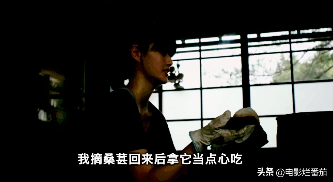 豆瓣9.0，日本乡间简素的一餐一饭，治好了无数人的“精神内耗”