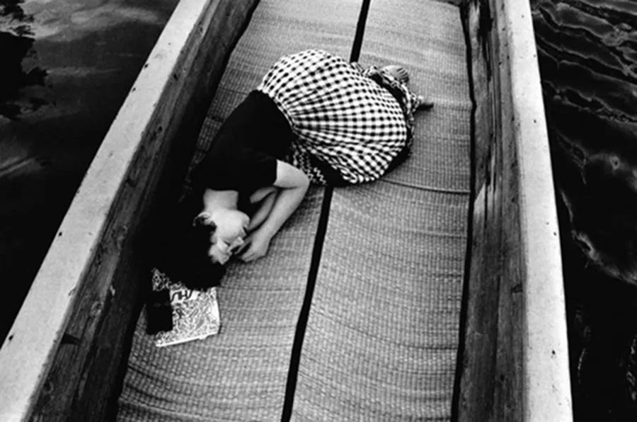 在无情的世界里有情的活着,在无情的世界里有份牵挂