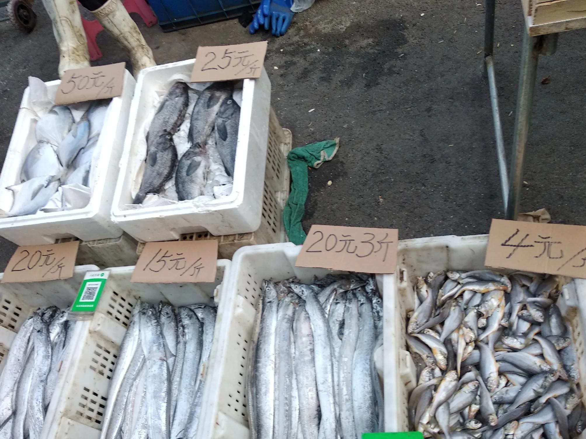 带鱼是深海养殖吗,带鱼是深海的还是养殖的