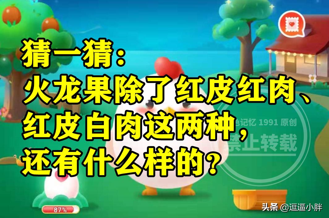 为什么红心火龙果更甜蚂蚁庄园,蚂蚁庄园红心火龙果的果肉