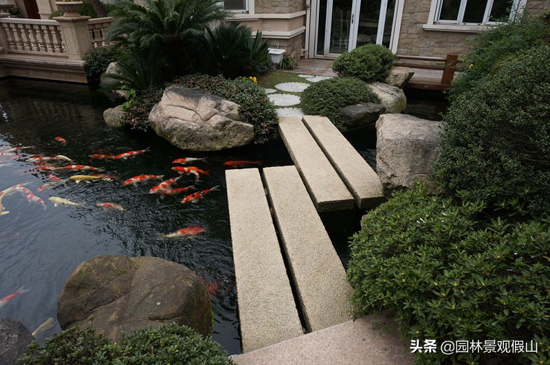 新锦鲤鱼池如何处理好水质,庭院锦鲤鱼池怎么处理好看